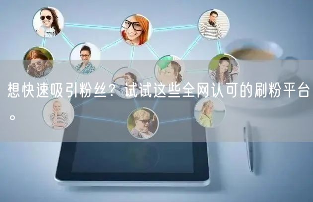 想快速吸引粉丝？试试这些全网认可的刷粉平台。