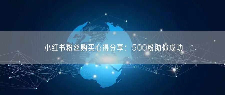 小红书粉丝购买心得分享：500粉助你成功