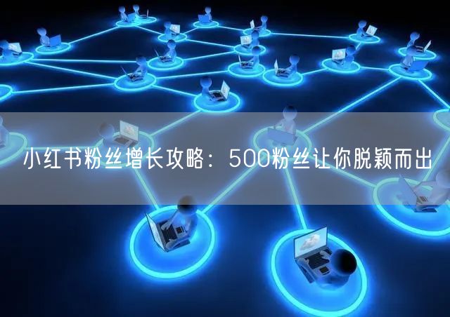 小红书粉丝增长攻略：500粉丝让你脱颖而出