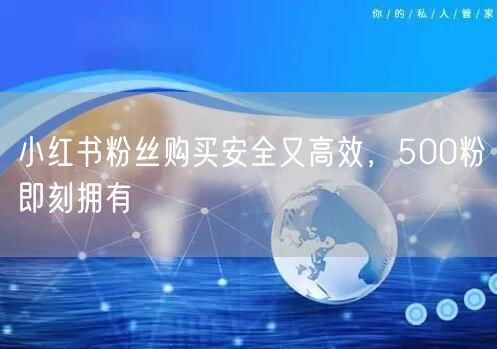 小红书粉丝购买安全又高效，500粉即刻拥有