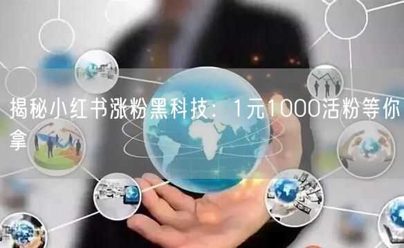 揭秘小红书涨粉黑科技：1元1000活粉等你拿