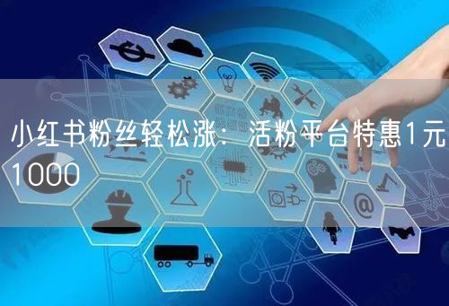 小红书粉丝轻松涨：活粉平台特惠1元1000