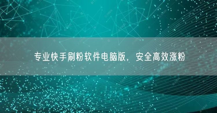 专业快手刷粉软件电脑版，安全高效涨粉